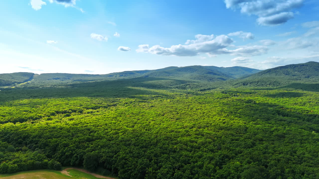 Green forest under blue skies. Expansive green forest stretches across rolling hills under bright blue skies and scattered clouds during daytime