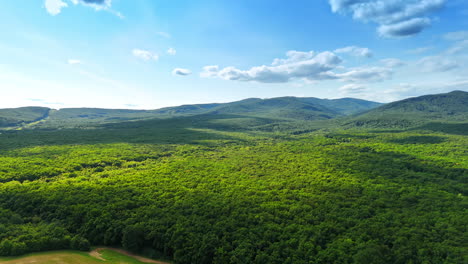 green forest under blue skies. expansive green forest stretches across rolling hills under bright blue skies and scattered clouds during daytime