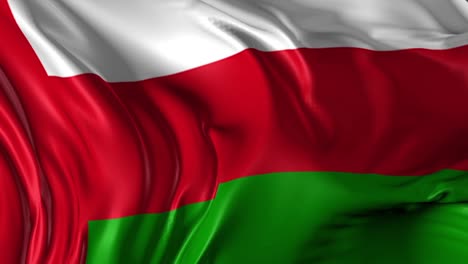 waving flag of oman