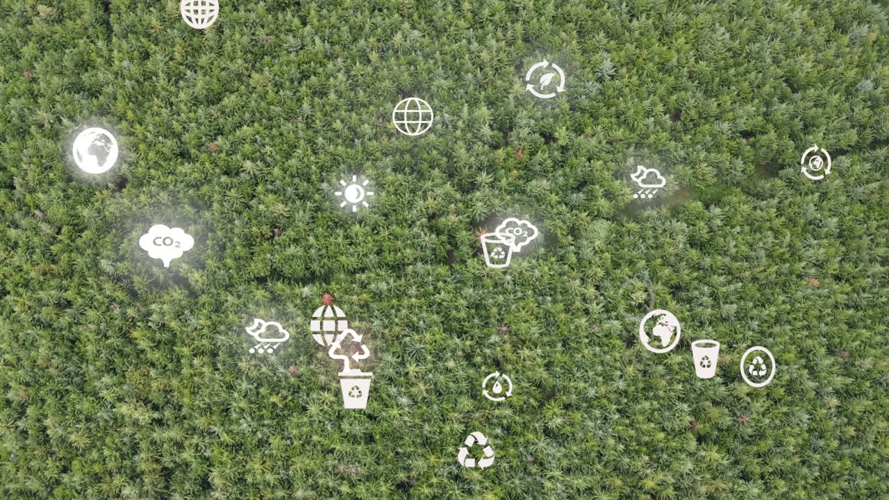 드론 뷰 - 아프리카 숲 - 케냐 와 탄자니아 - 킬리만자로 산의 경사 에 산불 로이토토크 케냐