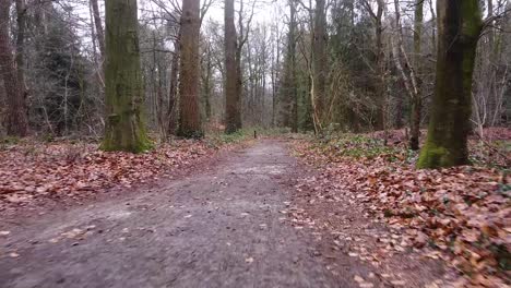 drone-shot-of-a-walking-path-in-the-forest,-with-gate,-hiking-path-in-forest