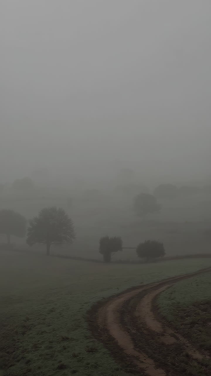 Misty Countryside Landscape