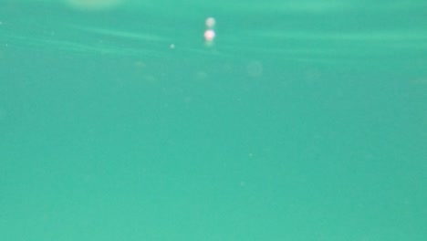 colorful fish swim gracefully in the clear turquoise waters near a rocky shoreline.