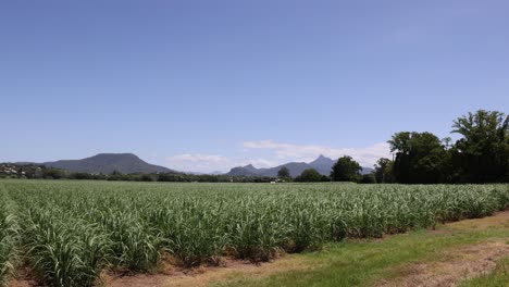 time-lapse of a scenic farm landscape