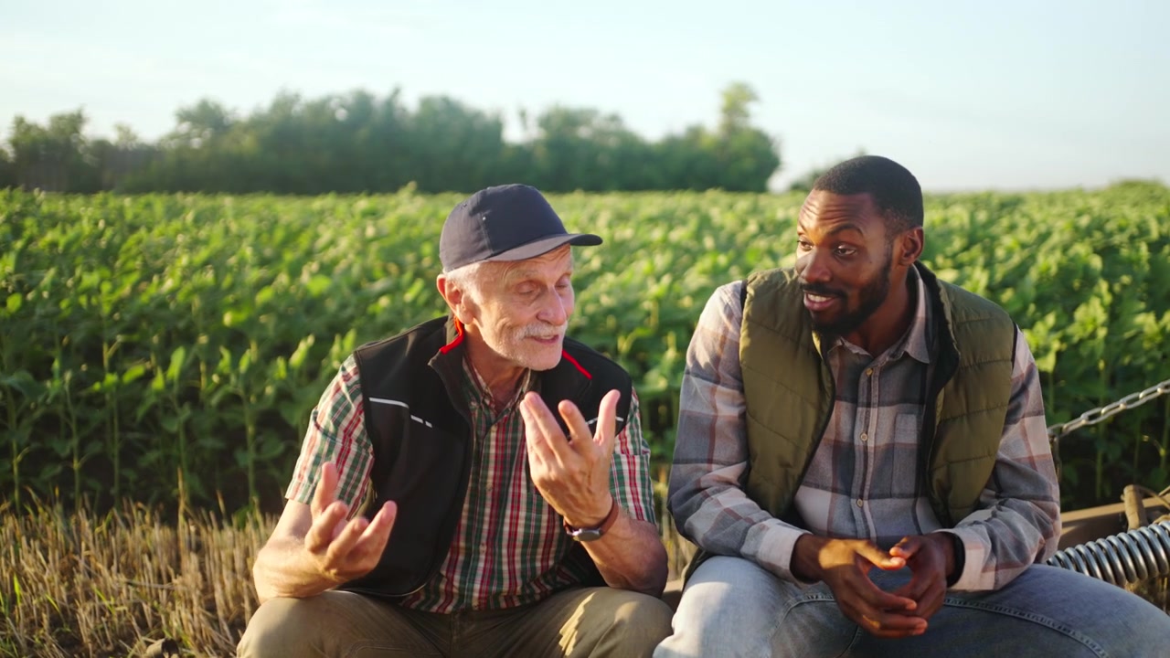 Due Agricoltori Discutono di Lavoro in un Campo di Soia