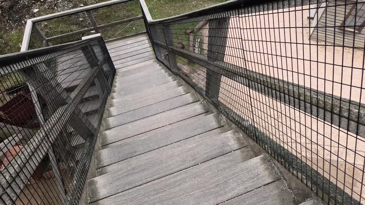 울타리 로 된 나무 계단 을 내려가고 있다