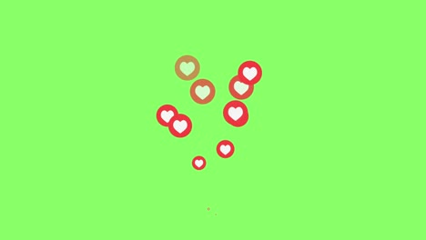 red hearts isolated on green background move up 4k footage. heart on green screen