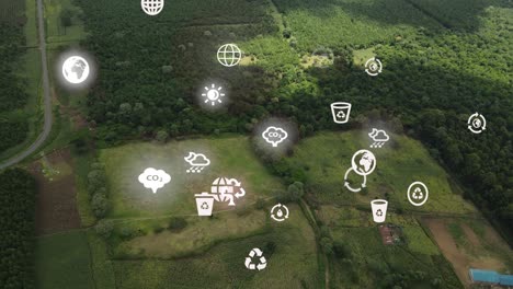 Futuristic-aerial-drone-view-of-the-forest-coverage