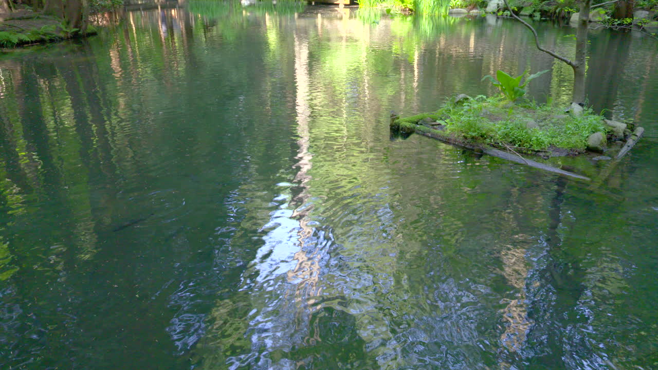 고요한 반사 연못에서 부드럽게 흐르는 물