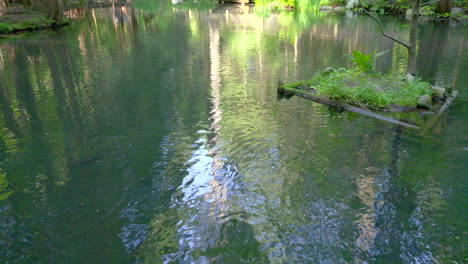 water flowing gently in a tranquil reflection pond