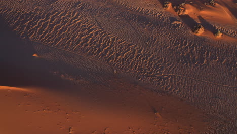 vista aérea inclinada sobre gemsbok caminando por el desierto rojo en namibia - gazela oryx