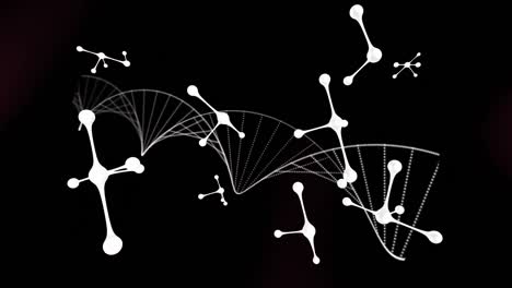 la estructura del adn se forma contra las estructuras moleculares en fondo negro.