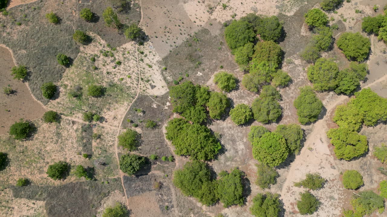 Vista dall'alto di un paesaggio rurale della boscaglia africana con case sparse e piccoli appezzamenti agricoli.
