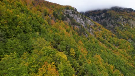 Colorful-forest-on-Alps-mountain-at-Autumn-with-green-yellow-brown-foliage