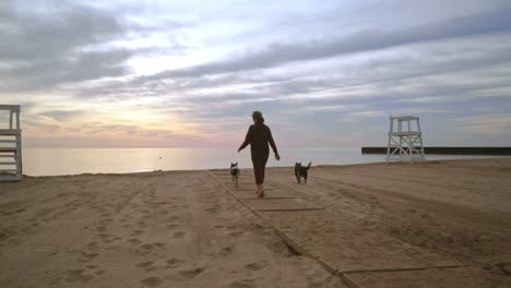 Woman-walking-dog-on-beach-at-sunrise.-Two-dogs-on-walk-on-beach