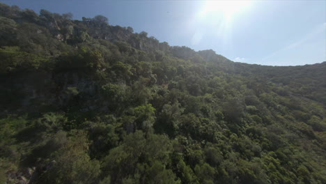 Vuelo-Aéreo-Por-La-Ladera-Escarpada-Del-Bosque-Hasta-Los-Acantilados.