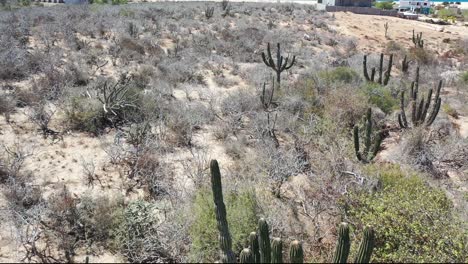 Flug-über-Den-Strand-In-Baja-California-Sur-1