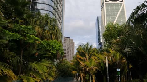 San-Francisco-USA,-Salesforce-Park,-Rooftop-Garden-and-Trees-Under-Downtown-Skyscrapers