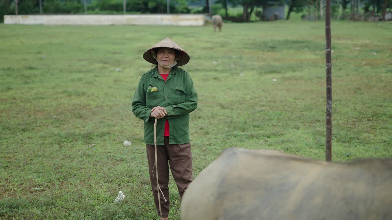 Vietnamese Farmer in a Field