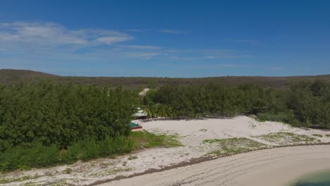 drone view from sea to lush coastal forest at sakalava bay, madagascar
