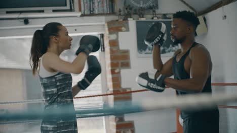 tracking shot of boxers training in ring