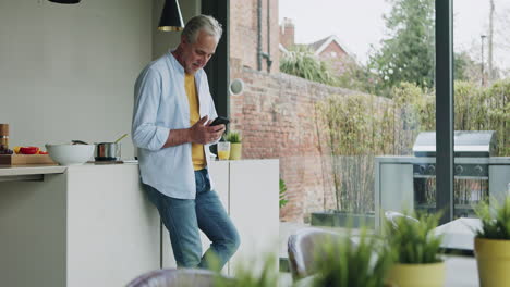 man using phone in kitchen