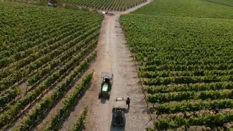 Vista-Aérea-De-Un-Tractor-En-Medio-De-Un-Camino-De-Viñedos-En-Un-Día-Soleado