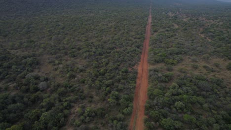 straight dirty road in game reserve in south african savannah