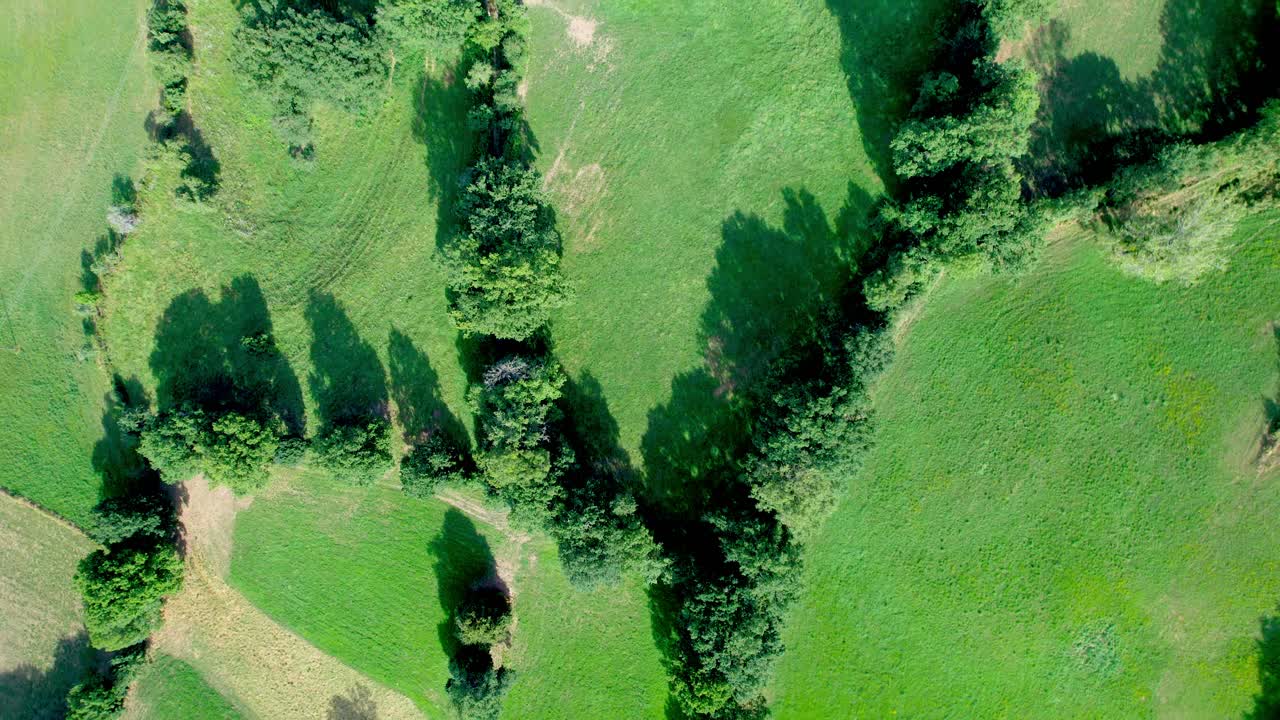 Zielone łąki, linie drzew i prywatne posiadłości wiejskiej Francji, widok z lotu ptaka