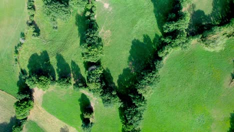 prados verdes, líneas de árboles y privado de la francia rural, vista aérea de arriba hacia abajo