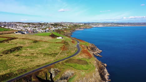 Aerial-over-Newtown-Woods-in-Waterford,-Ireland-during-sunny-day,-car-drives-by