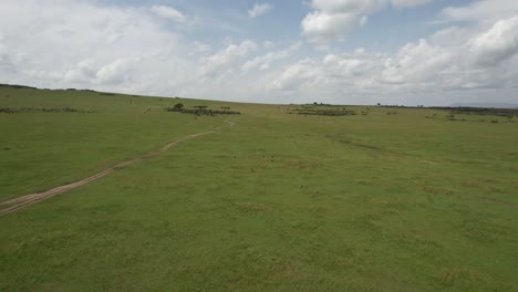 Discovering-antelopes-in-Maasai-Mara-endless-plain,-Kenya