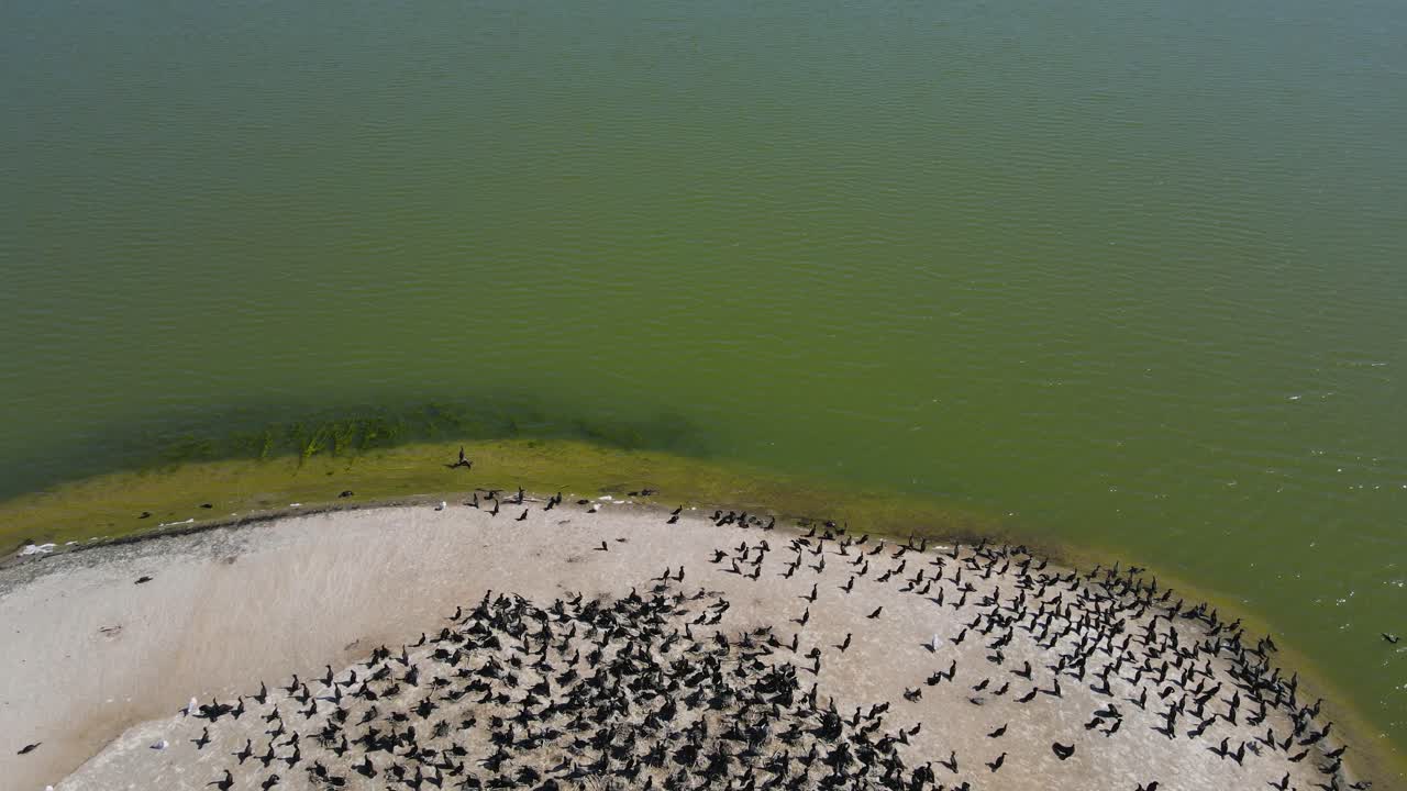 호수 표면까지 기울어져