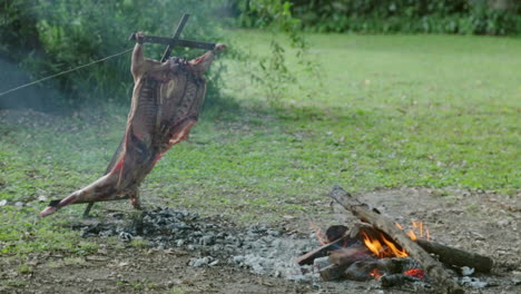 traditional argentinean slow asado lamb cooking on a cross by burning camp fire