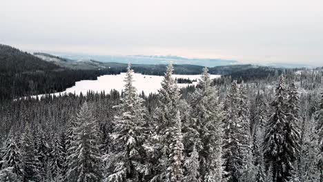 Snowy-Spruce-Trees-Near-Long-Island-Lake-and-Little-Fort-Highway-24-on-a-Cloudy-Day,-with-Mountains-in-the-Distance---Aerial-push-forward-shot