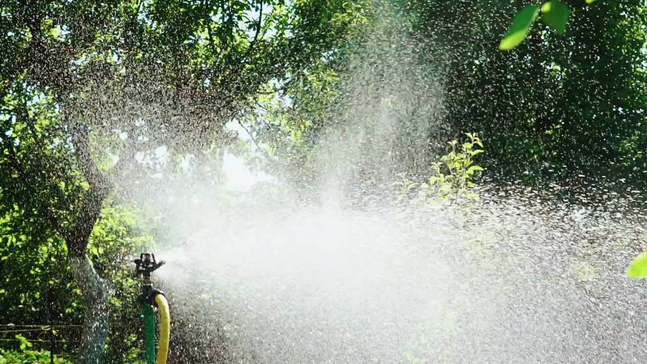 Sprinkler system sprays water on the grass in the garden. Slow Motion.