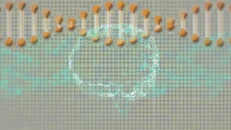Animation-Von-DNA-Strang-Und-Digitalem-Gehirn-über-Quadraten