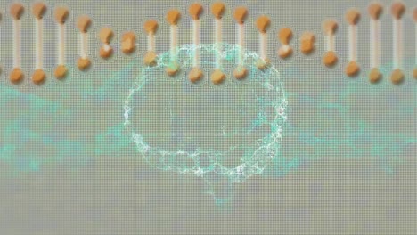 animación de la cadena de adn y el cerebro digital sobre cuadrados