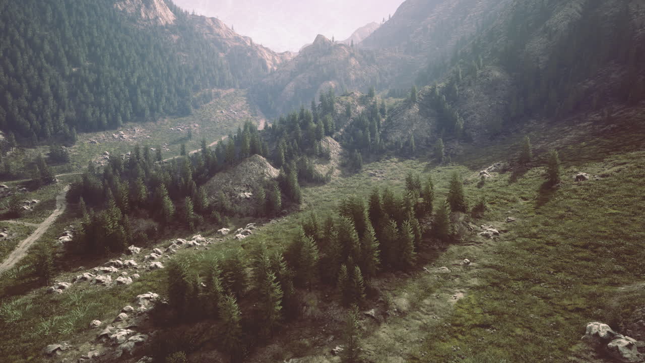 Lush green valley surrounded by mountains features a serene landscape scenery