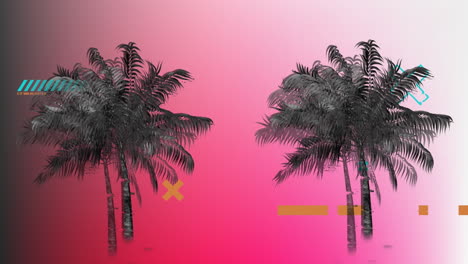 animation of vibrantly coloured palm trees in hypnotic movement on seamless loop