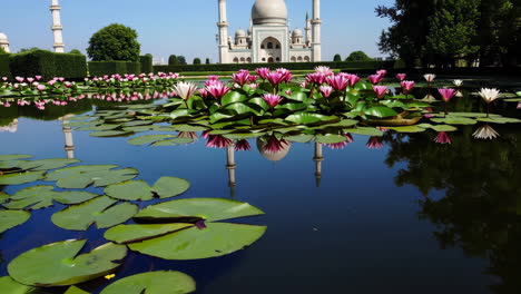 mosque with water lily pond