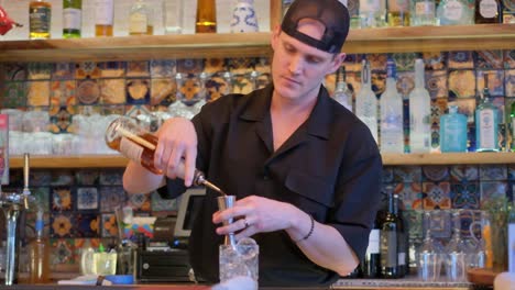 professional bartender making a cocktail professional bartender making a cocktail