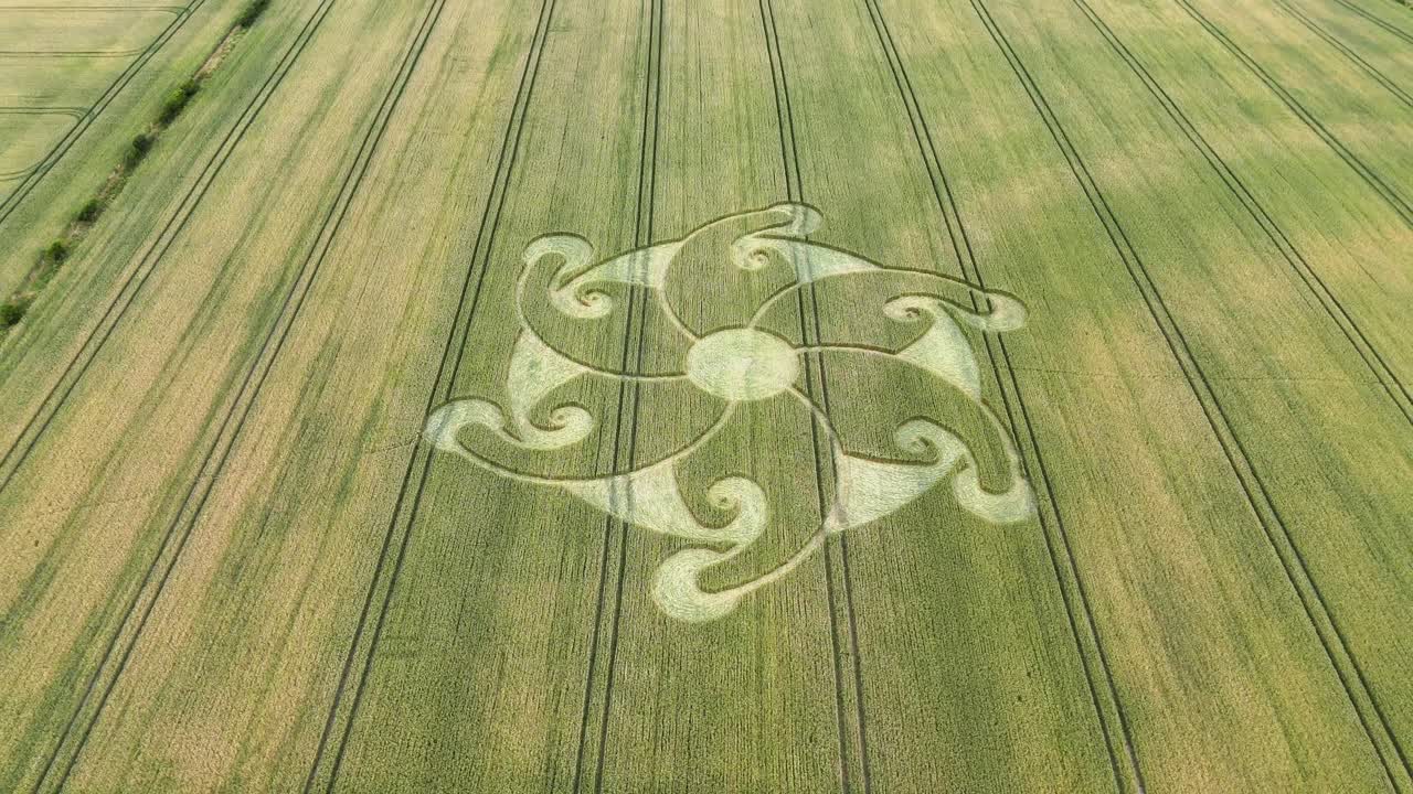 에치햄튼 꽃 만달라 작물 서클 공중 사진으로 롱 윌트셔 농장 설립