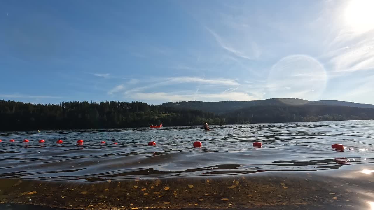 Svømning i en sø