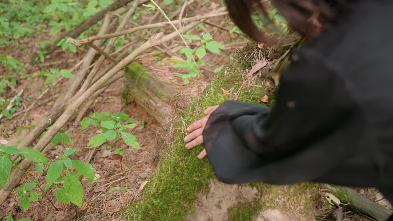 Aerial view of woman in sheer black dress gently touching moss-covered stump in forest, capturing tender connection with nature and emotional stillness surrounded by soft green foliage