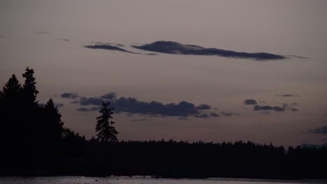 Golden-hour,-silhouette-of-pine-trees-and-glistening-water-during-sunset,-orange-glow,-reflections