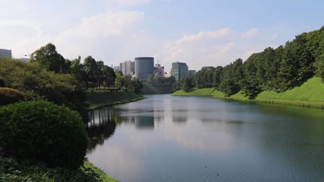 the best view of tokyo