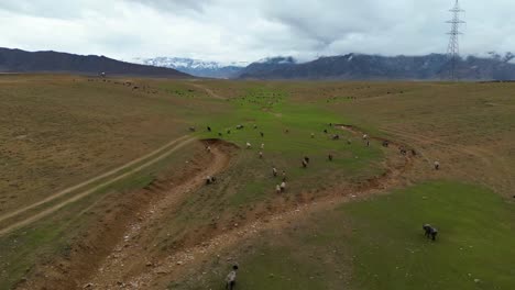 vista aérea de las verdes montañas y la naturaleza pacífica