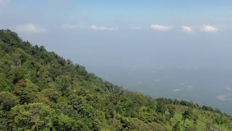 mountainous forest landscape aerial view