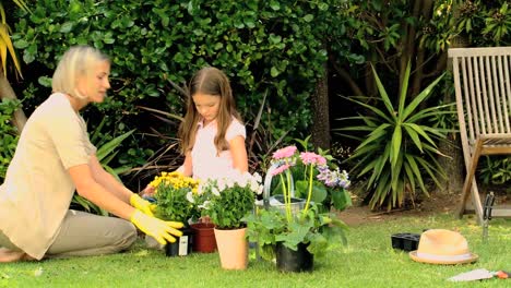Mother-and-daughter-potting-flowers-on-lawn